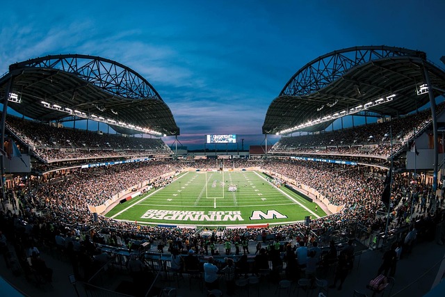 付出的认可 付出的认可