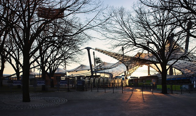 明了自己的 明了自己的